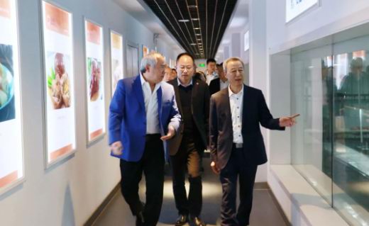 1681376718179941.jpg image.jpg